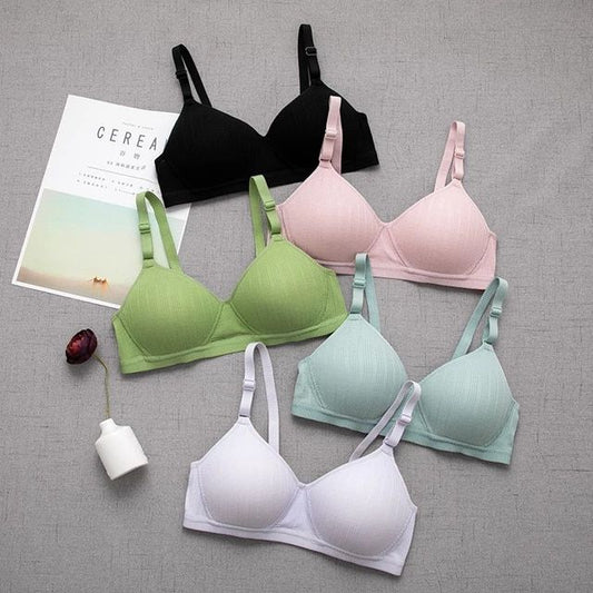 Everyday Comfort Bra Women’s 2 Pack